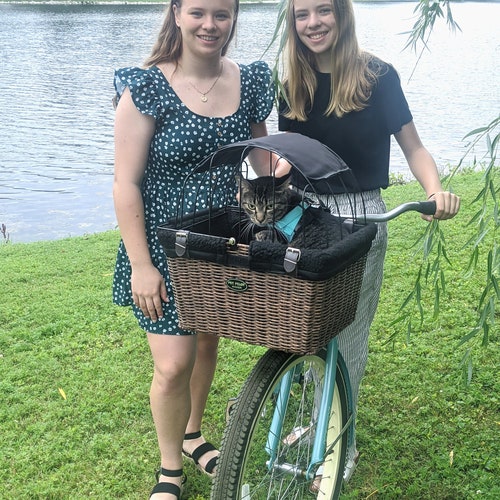 Bike Basket for shops Pet | Pet Basket for Bike | Small Pet | Wicker Basket | Pet Bike Basket | Basket for Bike women | Woman Bike Front Basket