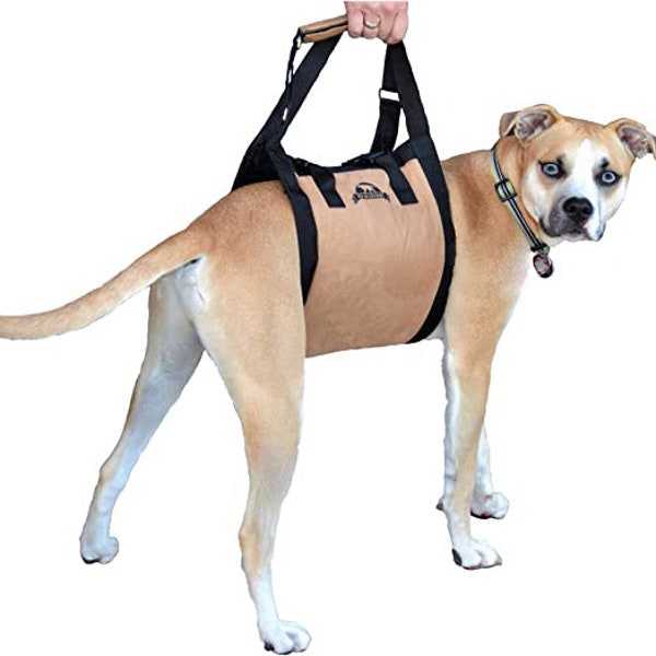 Dog Stair Lift - Dog Lift Harness - Support Harness - Dog Car Lift for Disabled Dogs, Elderly Dogs, Injured Dogs - support dogs back legs