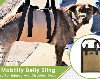 Dog Stair Lift Dog Lift Harness Support Harness Dog Car Lift for Disabled Dogs Elderly Dogs Injured Dogs Support Dogs Back Legs Etsy