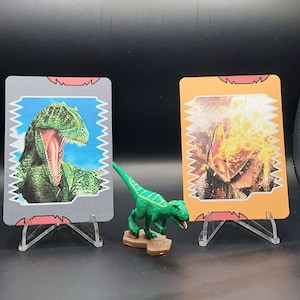 Pacchetto Carcharodontosaurus piccolo