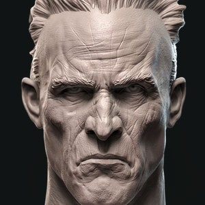 May include: A close-up of a detailed, sculpted bust of a man's head and shoulders. The man has a serious expression with furrowed brows and a determined look. The sculpture is made of a light gray material and shows realistic detail in the man's facial features and hair.