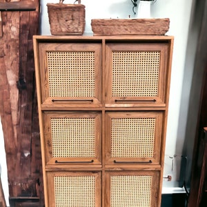 Teak Wood Wall Cabinet: Coastal Modern Caned Door Storage