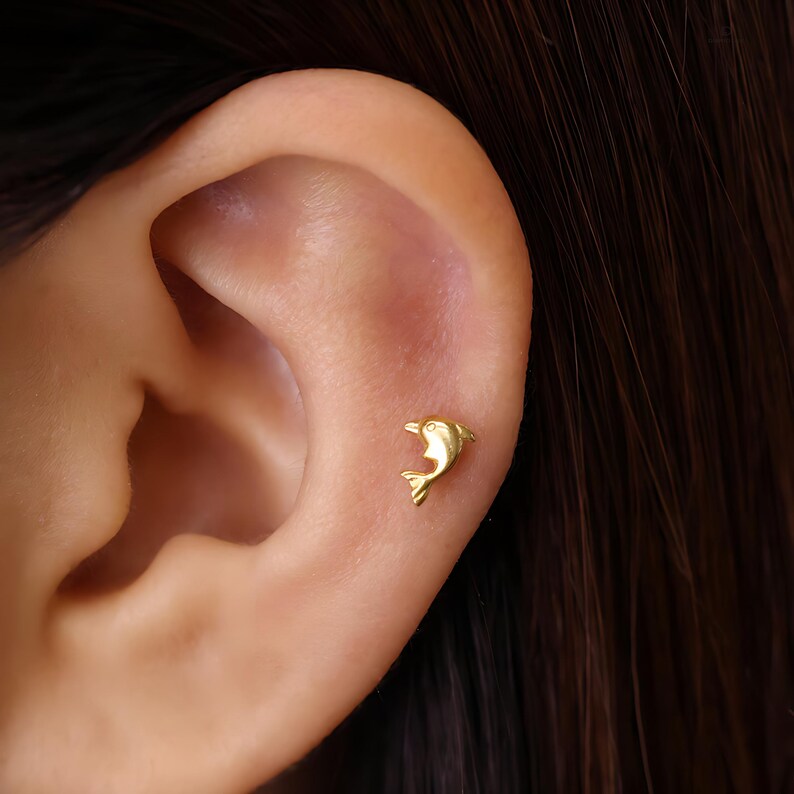 May include: A gold dolphin stud earring. The earring is small and delicate, and it is perfect for adding a touch of whimsy to any outfit.