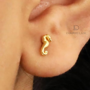 Labret a fondo piatto a forma di cavalluccio marino, orecchini per cartilagine, perno per trago, perno per elica, perno a fondo piatto, argento sterling 925, orecchino minimalista
