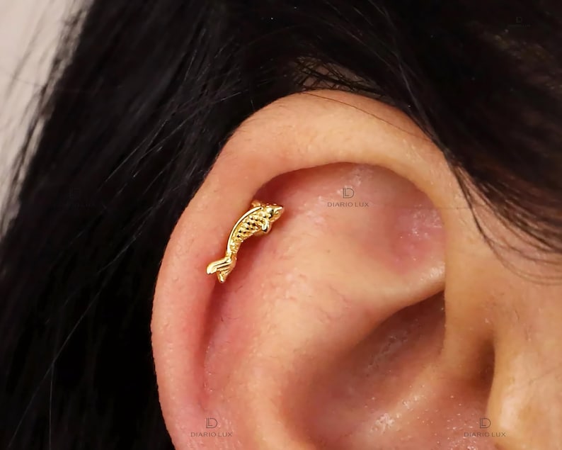 May include: Gold fish shaped cartilage earring. The earring is in a person's ear.