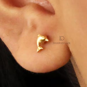 Delfino Labret posteriore piatto, orecchini per cartilagine, perno trago, perno elica, perno posteriore piatto, argento sterling 925, orecchino minimalista