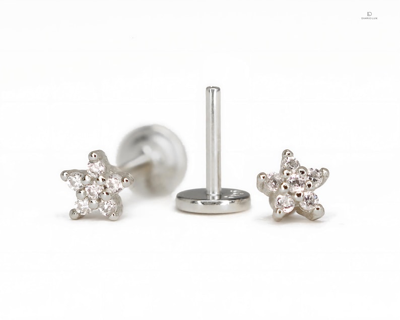 May include: A silver star-shaped stud earring with clear cubic zirconia stones.