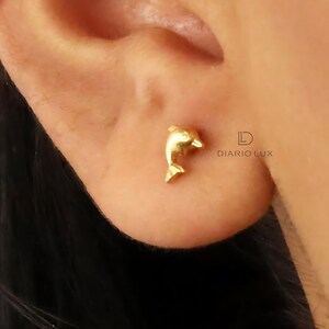 May include: Gold dolphin stud earrings. The earrings are small and delicate, and the dolphin is facing to the right.
