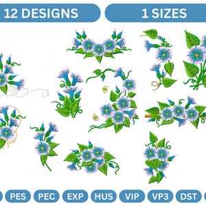 12 Beautiful Morning Glory Embroidery Designs - Instant Download | Floral Machine Embroidery Files in 9 formats