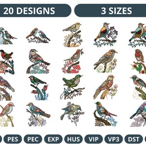 20 Sparrow Bird Machine Embroidery Design Bundle, 3 Sizes, Instant Download