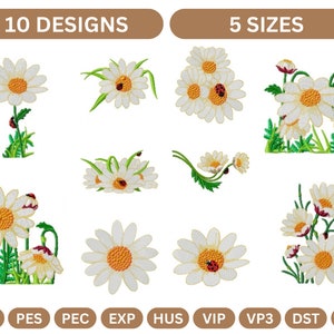 Common Daisy Flowers Machine Embroidery Design,Instant Download