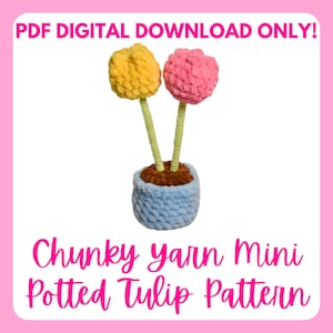 Chunky Yarn Mini Potted Tulip Crochet Pattern - PDF PATTERN ONLY