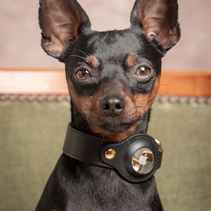 AirTag Collar for Small Dogs and Cats, Genuine Leather, Apple Air Tag, XS and S, Pink, Black and Brown