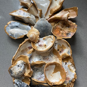 Oyster shell pineapple