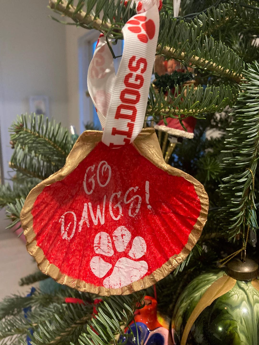 Uga Shells Beautiful University of Georgia Shell Ornament ( Large ) - Etsy