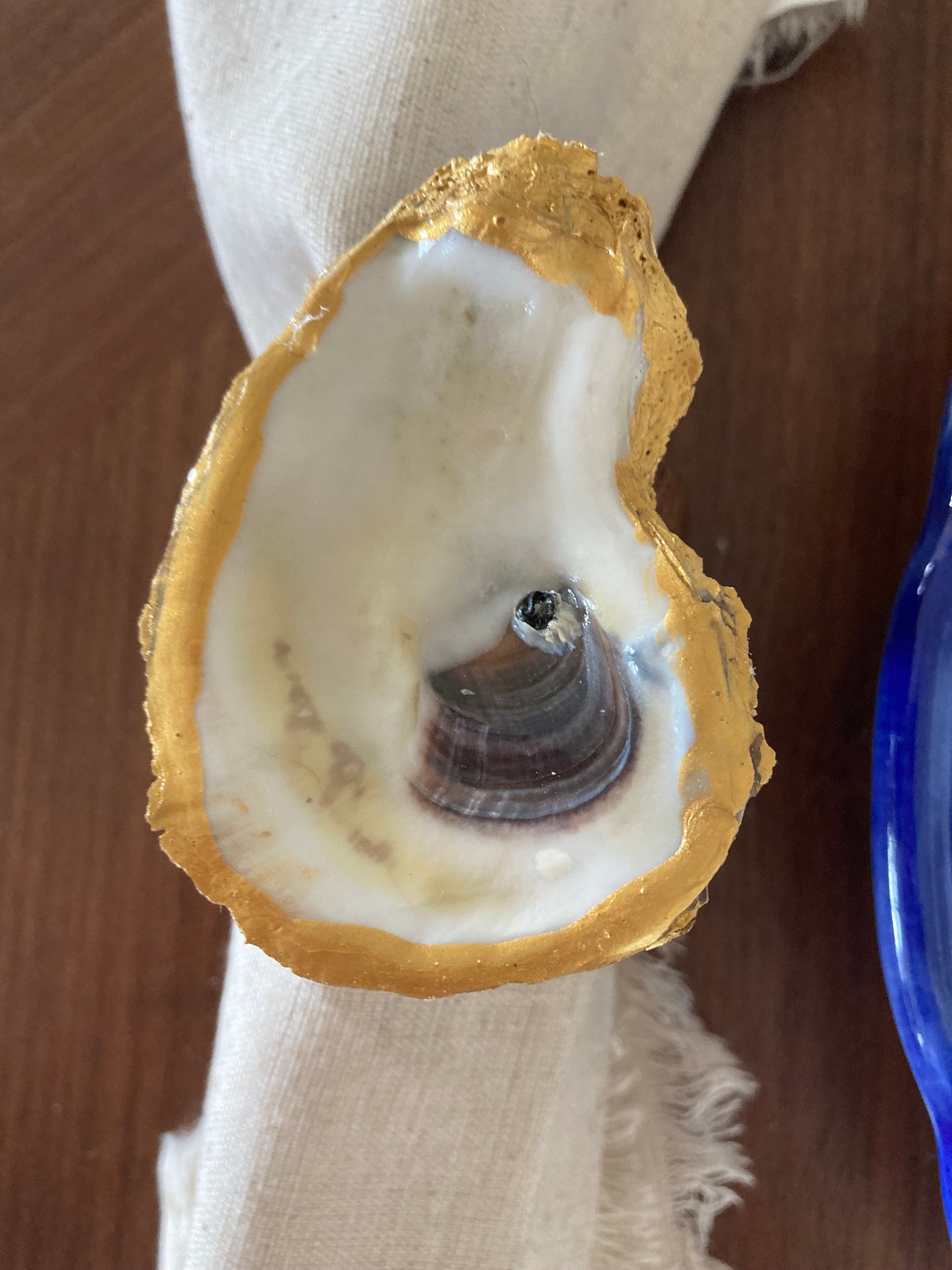 Kit 5 Portaanelli In Conchiglia Di Ostrica - Fai Da Te, Per Decorazione Ed Esposizione Gioielli - Foto 5