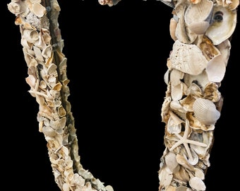 Custom Shell frame mirror, hanging; 24x36