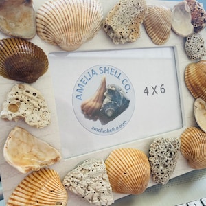 4x6 Handmade Shell Frame: Beach Decor