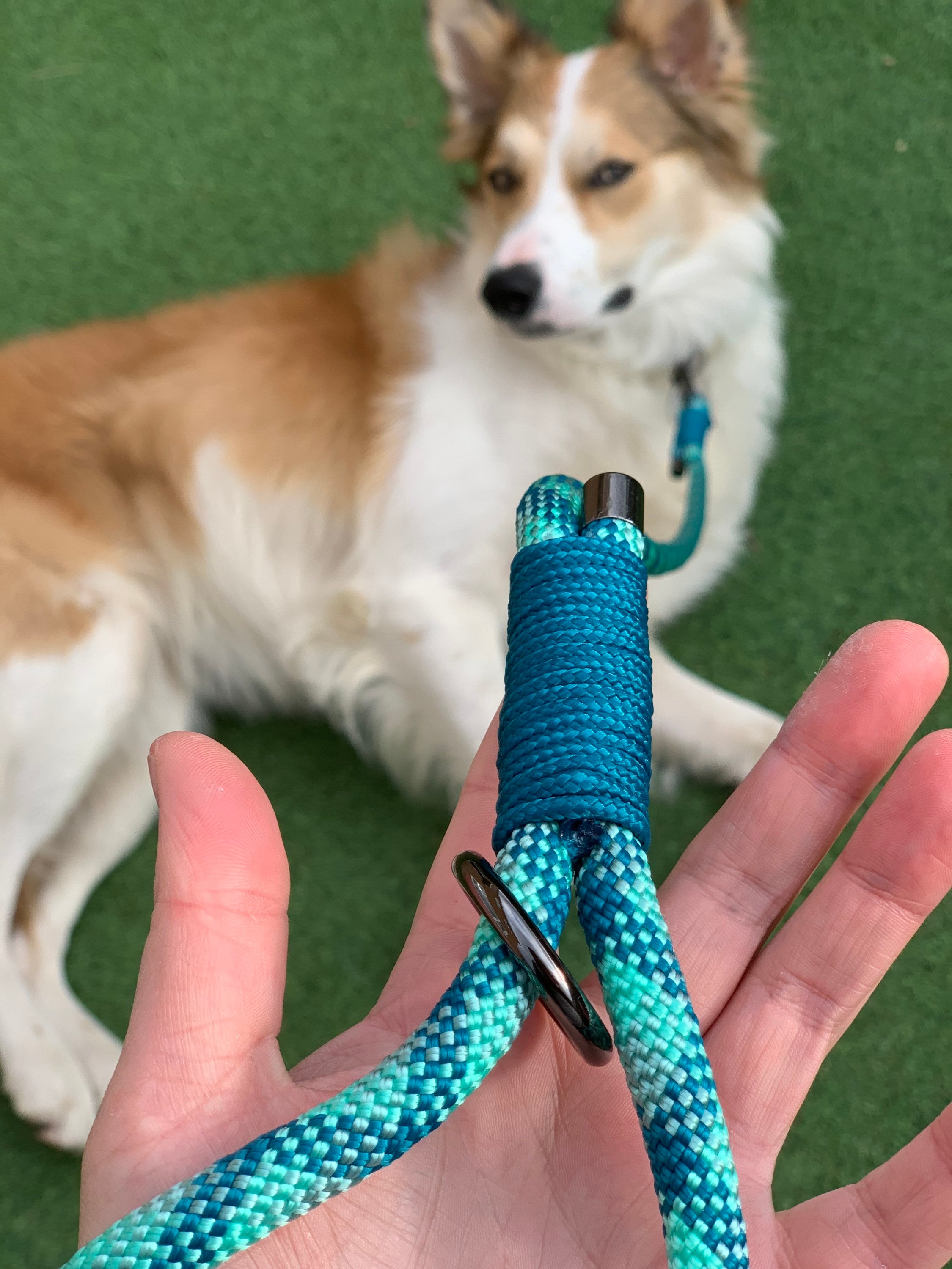 Hand Made Dog Rope Lead 10mm Customisable Etsy UK