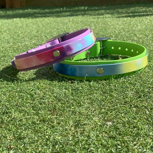 Collier pour chien ajustable en biothane imprimé double couche, galaxie, présentoir aquarelle prêt à l'expédition