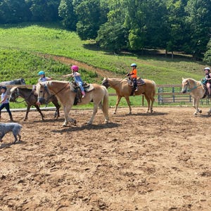 Guide to Running a Horse Camp