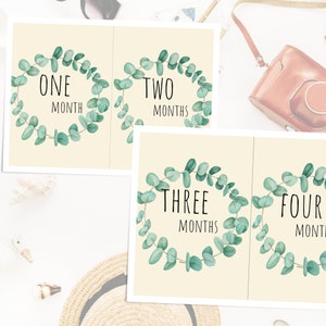Cartes d'étape de bébé imprimables, cartes d'étape neutres, étape mensuelle de bébé imprimable Téléchargement numérique Eucalyptus Impression numérique neutre