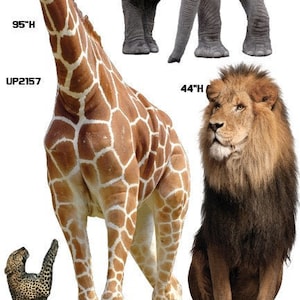 Safari Africa Party Props decorations backdrops cutouts signs table centerpieces Yard cards (NOstandsincluded