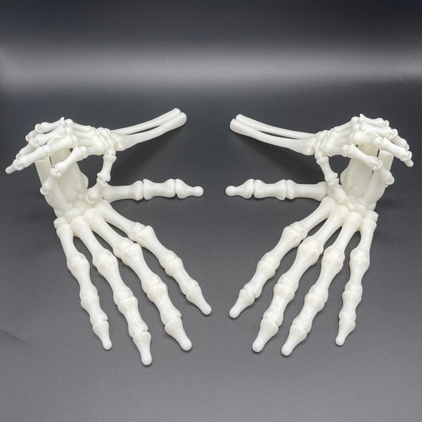 Flexi Skeleton Hands | Articulated | Flexi Factory Authorized Seller
