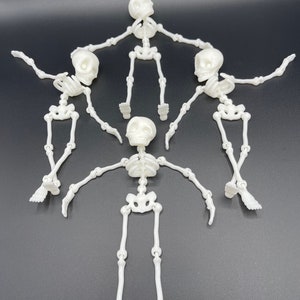 Flexi Skeleton | Articulated | Flexi Factory Authorized Seller