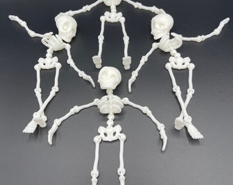 Flexi Skeleton | Articulated | Flexi Factory Authorized Seller