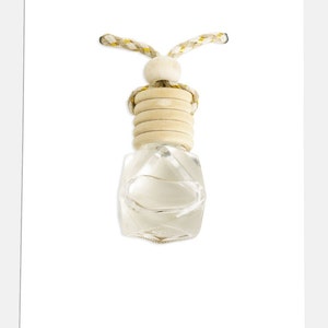 Hanging Oil Diffuser | Prism Mood Diffuser | Essential Oil Diffuser ...