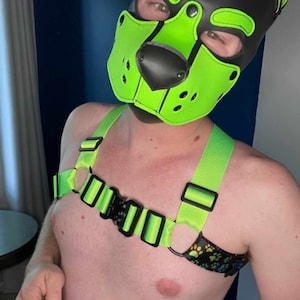 BEHYR Unisex Bulldog Tactical Harness - Color Splash with Pup Paws