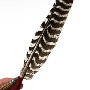 Smudging feather