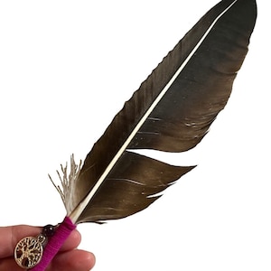 Smudging feather