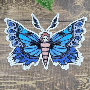 Death Head Moth vinyl sticker, spinnenweb mot sticker, duurzame vinyl sticker voor autobumpers en tuimelaars en kopjes