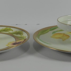 Set of 2 Bavaria Germany handpainted serving plates CIRCA 1950s