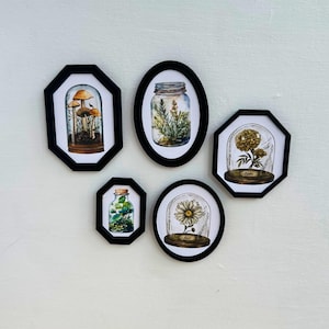 May include: Five framed botanical prints, each depicting plants or fungi under glass cloches. The black frames are in various shapes, including oval, octagonal, and circular. The artwork showcases detailed illustrations of nature against a white backdrop, suitable for home decor.
