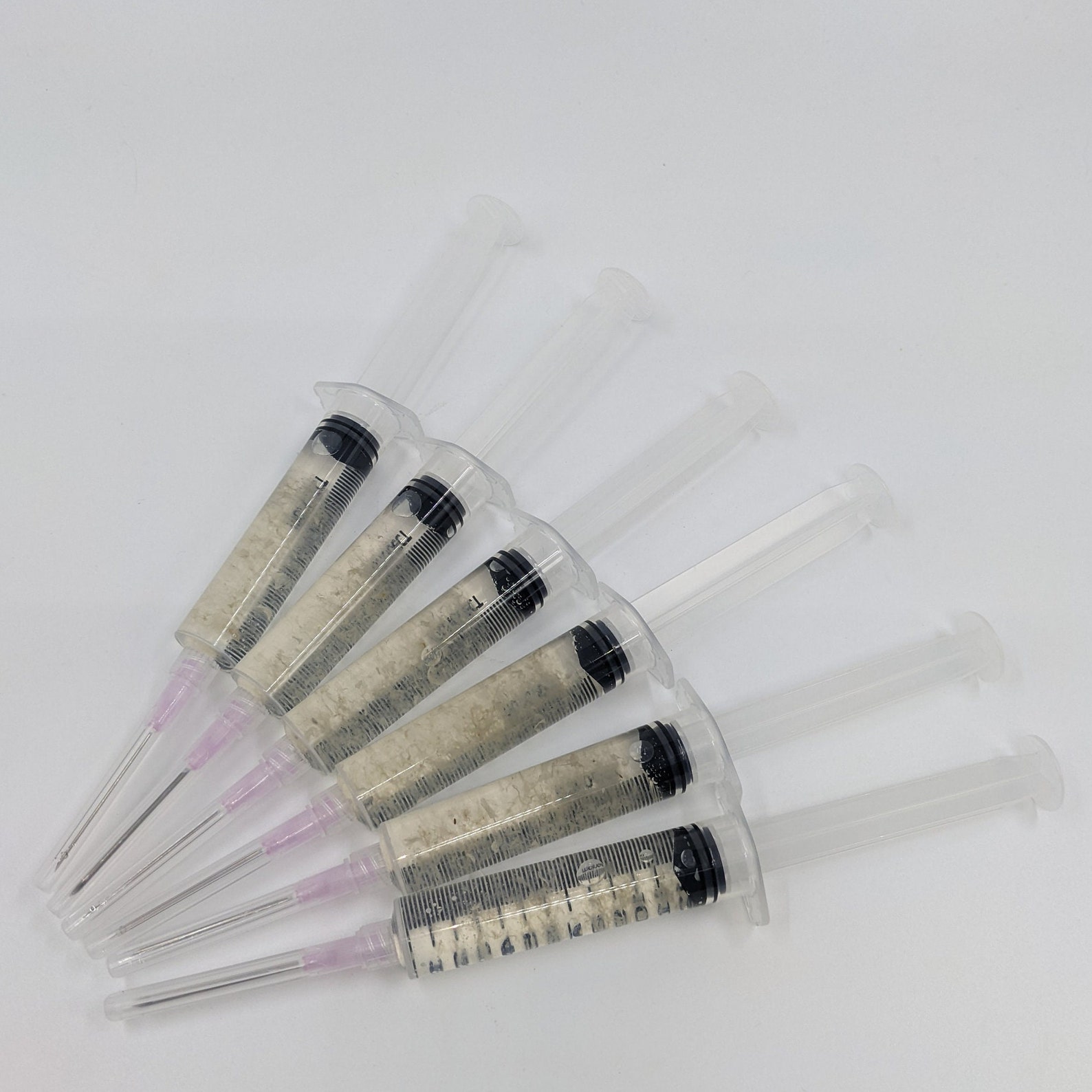 6 PACK X 12ml Mushroom Spore Syringe Home Mycology Growing Etsy