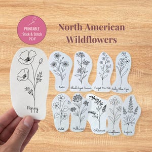 Nordamerikanska vildblommor broderimönster, botaniska Stick and Stitch PDF