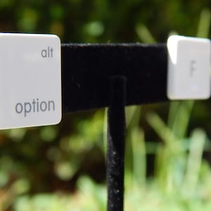 Könnte beinhalten: Zwei weiße quadratische Schlüsselkappen-Ohrringe mit den Worten "alt" und "option" auf dem einen und dem Buchstaben "F" auf dem anderen.