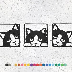 3 koty podglądające - naklejka winylowa do stylizacji samochodu, naklejka na akcesoria, prezent, wodoodporna dekoracja okna, kolor, laptop, rower