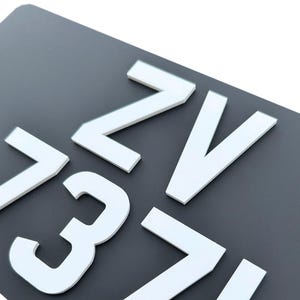 1 x Matrícula personalizada vintage en blanco y negro 4D - Acrílico de 3 mm / 305 x 155 Irlanda Inglaterra británica GB