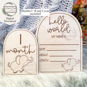 Maandelijkse mijlpaalmarkeringen baby's SVG, babyolifant, Hello World, bord geboortestatistieken, fotorekwisiet, digitaal bestand, Glowforge, lasergesneden, download,
