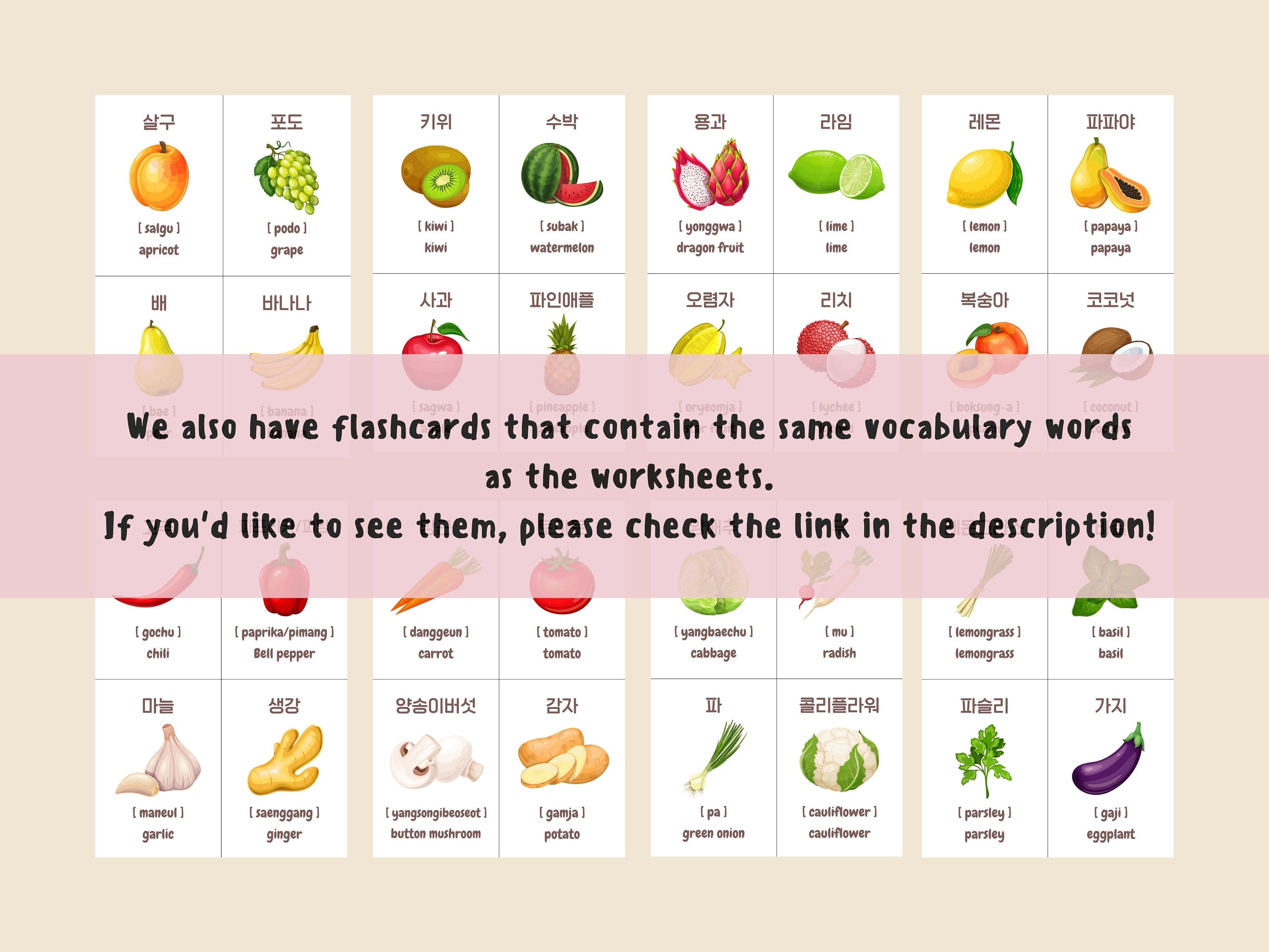 Learning Korean Vocabulary Worksheet Korean Learn Challenge - Etsy