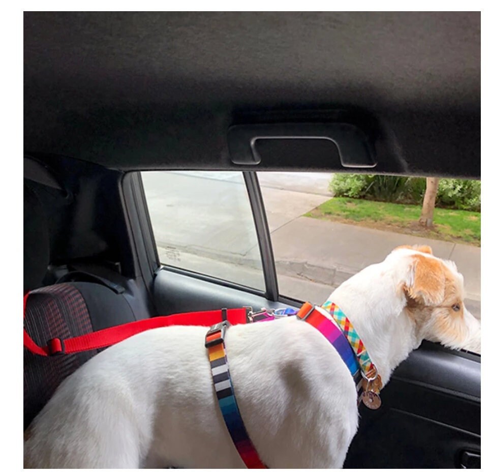 Do Dog Seat Belts Work