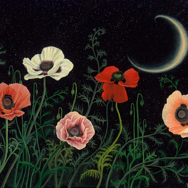 Midnight Poppies botanical surrealism painting, moon, night sky, floral fantasy art, Oil on Canvas Print