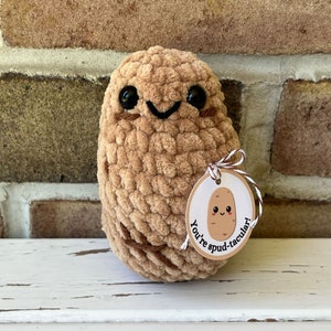 Crocheted Potato Plush, Gift for Potato Lover, Potato Stuffed Toy, Potato Plushie, Potato Desk Buddy, You&#39;re Spud-tacular