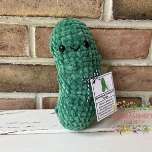 Small Emotional Support Pickle, Crocheted Pickle Plush, Gift for Pickle Lover, Pickle Stuffed Toy, Amigurumi Pickle Plushie, Stuffed Pickle