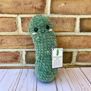 Medium Emotional Support Pickle, Crocheted Pickle Plush, Gift for Pickle Lover, Pickle Stuffed Toy, Amigurumi Pickle Plushie, Stuffed Pickle