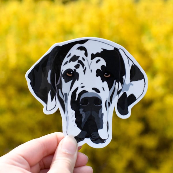 Harlequin Great Dane Sticker Water Resistant